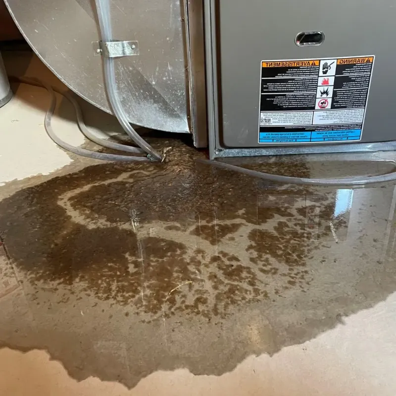 Pipe Burst and Leak Restoration in Emmetsburg, IA